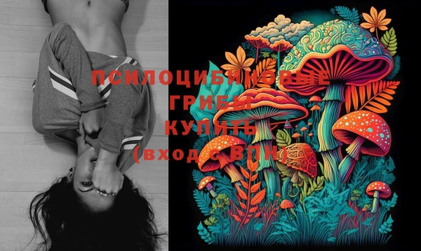 соль курить ск Кинешма