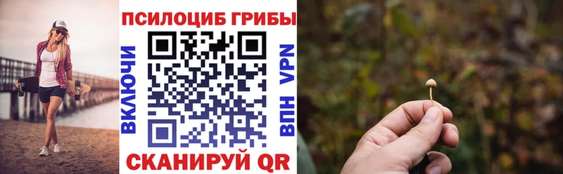 Купить  Лихославль  Псилоцибиновые грибы Magic Shrooms 